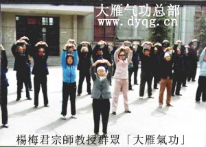楊宗師帶教